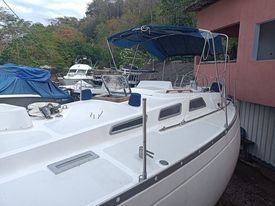 SWAN 38