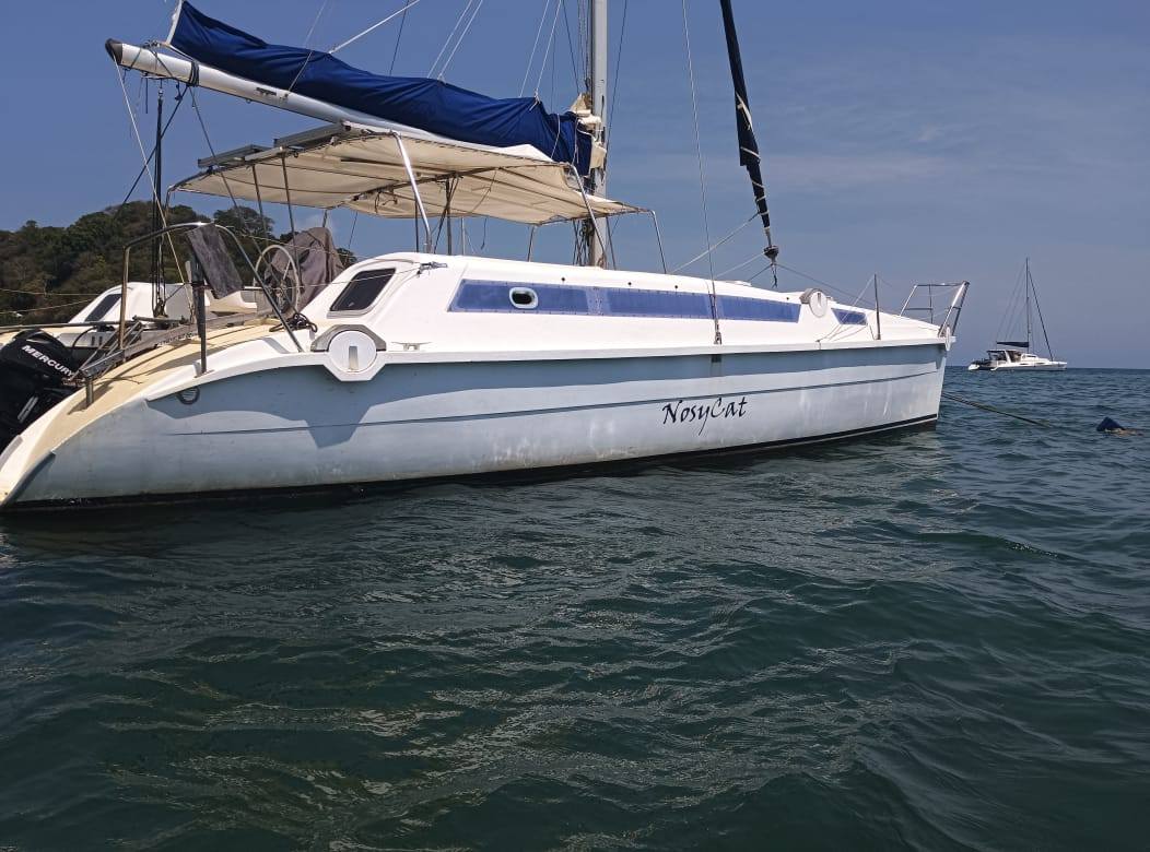EDEL CAT 35 OPEN