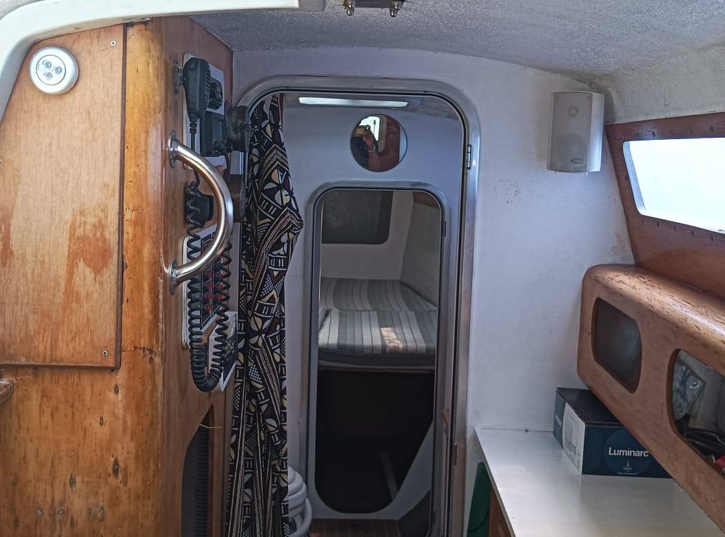 EDEL CAT 35 OPEN