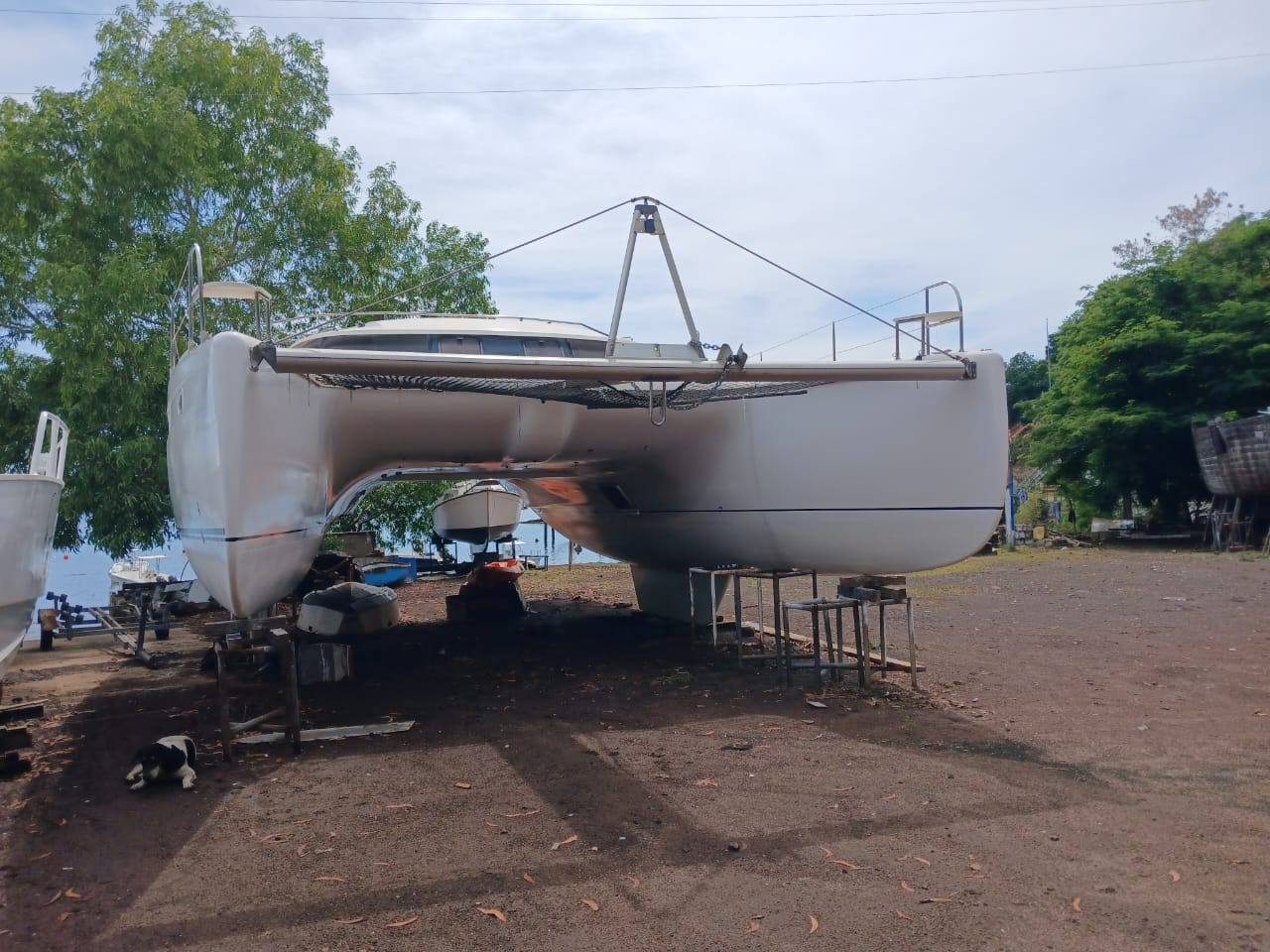 VENEZIA 42