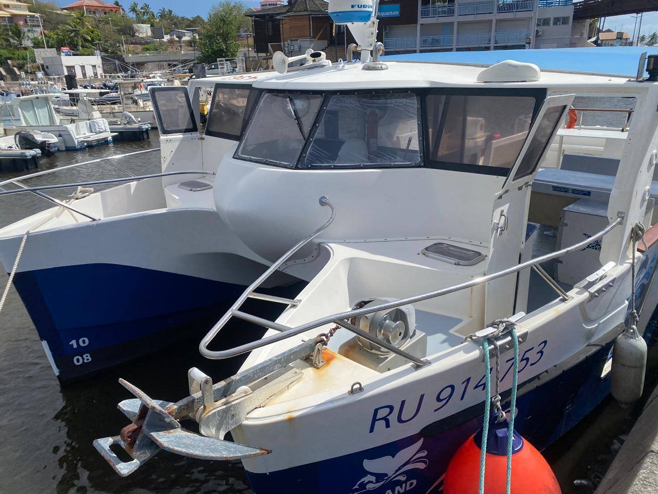 IRIS 37