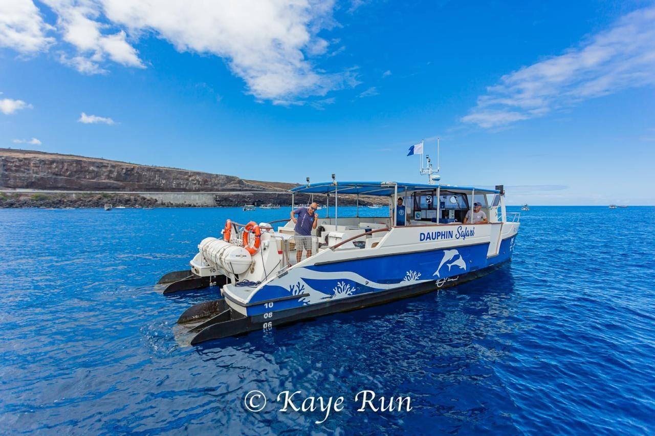 IRIS 37