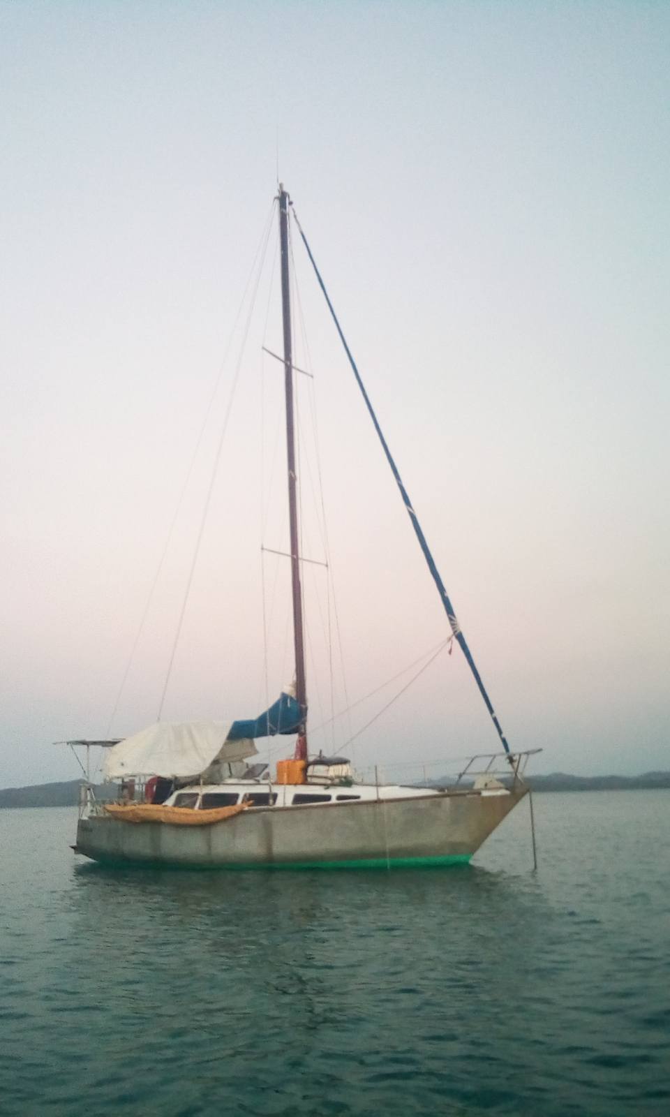 FLOT 31