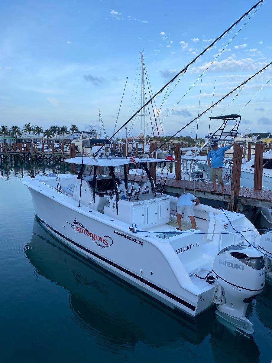 Hammercat 35 Neuf